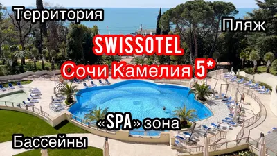 Swissotel Resort Сочи Камелия. Описание, преимущества, трансфер в отель из  Аэропорта.
