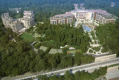 Отель «Swissôtel Resort Сочи Камелия»: предложение для вашего идеального  отдыха | OK-magazine.ru