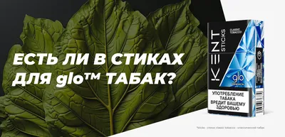 Рассказываю, что такое развесной табак и чем он отличается от табака,  который в сигаретах. Сколько он стоит? | ТАБАЧНАЯ КУЛЬТУРА | Дзен