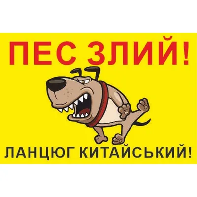 Табличка «Осторожно! Злая собака» – купить в Алматы по цене 850 тенге –  интернет-магазин Леруа Мерлен Казахстан