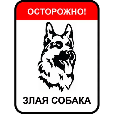 Купить Табличка Осторожно злая собака 300х200мм артикул 8785 недорого в  Украине с доставкой