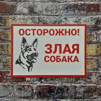 Табличка \"Осторожно злая собака\" ( 24*16 см): продажа, цена в Слониме.  Готовые информационные таблички и вывески от \"Рекламное агентство \"Корекс\"\"  - 114946176