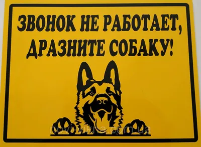 Купить табличка осторожно злая собака 300х200 мм артикул 8896 недорого в  Украине с доставкой