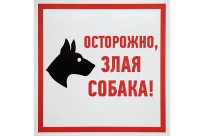 Табличка \"Осторожно злая собака,РОТВЕЙЛЕР ВО ДВОРЕ \" 210*297мм., А4, 30 см,  21 см - купить в интернет-магазине OZON по выгодной цене (339311506)