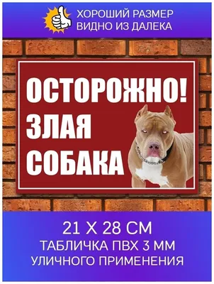 Купить ТАБЛИЧКА «ОСТОРОЖНО ЗЛАЯ СОБАКА» ЗС-1 Информационные таблички, в  Туле недорого