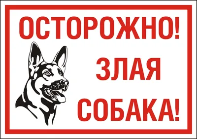 Табличка Осторожно! Злая Собака по цене 193 ₽, купить в зоомагазине  АстВетМаркет