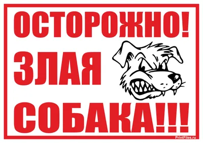 Купить Табличка Осторожно злая собака 300*200 мм 📄 с доставкой по Беларуси  | интернет-магазин Stendy.by