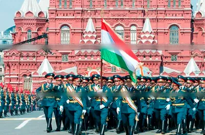 Агентство городских новостей «Москва» - Фотобанк