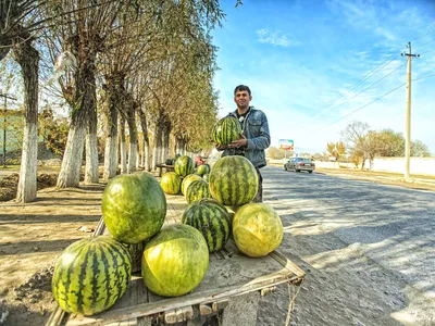 Фото Кургана-Тюбе (27 фото)