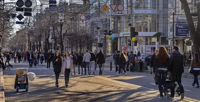 Новый Таганрог: Основные направления развития города Таганрога