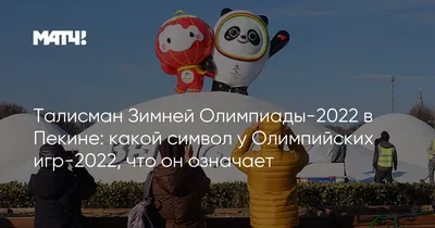 ТАЛИСМАН СОСНОВСКИХ ЗИМНИХ ИГР-2019 | Сосновский муниципальный район