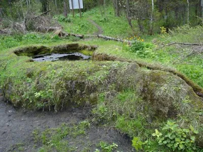 Таловские чаши Томск фото фотографии