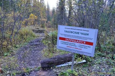 Загородные экскурсии — Томсктурист. Традиции хорошего отдыха!