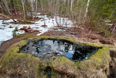 Таловские чаши