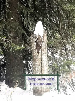 Загородные экскурсии — Томсктурист. Традиции хорошего отдыха!