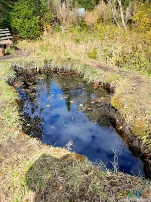 Клуб вольных туристов