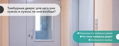 Двухстворчатая металлическая тамбурная дверь ДМС-801.3 заказать купить в  Минске по доступной цене — ООО \"Деловой металл\"
