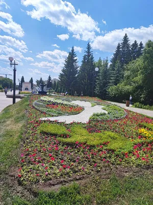 Омск - сибирский город, который всегда будет столицей. Часть 10. Глава 9.  Омские крепости - Без языка и колокол нем - Блоги - Sports.ru