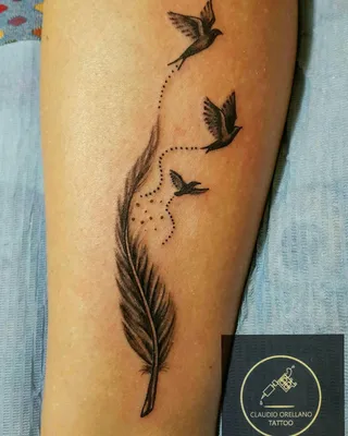 ◼️Значение тату (перо с птицами).... - akaplieva_tattoo | Facebook