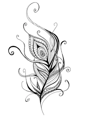 эскиз для тату перо с птицами 26.09.2019 №004 -sketch feather tattoo-  tatufoto.com - tatufoto.com