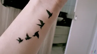 Тату птицы. Мини тату птицы. Тату голуби.Bird Tattoo. Mini bird tattoos.  Tattoo pigeons. | Тату на спину для девушек, Тату на спине, Тату минимализм