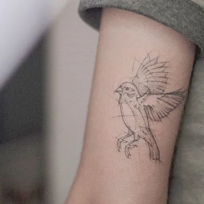 Тату птицы. Тату ласточка. Ласточки. Мини тату. Bird Tattoo. Tattoo  swallow. Swallows Mini tattoo. | Татуировки, Тату, Тату минимализм