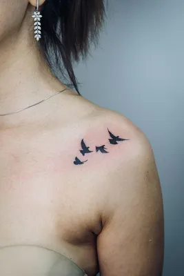 Тату птицы. Мини тату птицы. Тату голуби.Bird Tattoo. Mini bird tattoos.  Tattoo pigeons. | Тату на спину для девушек, Тату на спине, Тату минимализм