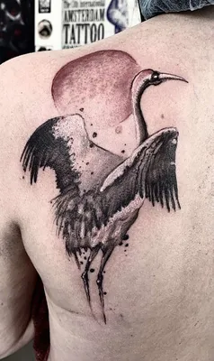 Tattoo bird, тату птица на рёбрах | Тату, Милые тату, Татуировка цветы