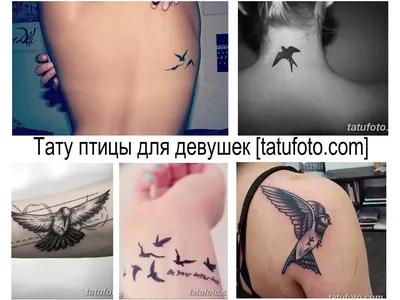 КОТ TATTOO STUDIO | Тату на руке для девушки - птицы с картинами Ван Гога и  Моне. Красивая и стильная татуировка в цвете от мастера Kot Tattoo Studio |  Дзен