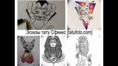 Татуированный сфинкс: оригинальное решение для татуировки