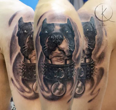 СТУДИЯ МИНИ-ТАТУ | МОСКВА on Instagram: \"ПОДБОРКА МИНИ-ТАТУ СОБАКИ 🐕 ⠀ Ты  кошатник или собачник? Пиши в комментариях 👇🏻 ⠀ ✐Актуальные свободные  сеансы в сториз. Записывайтесь по ссылке в шапке профиля. ⠀ #