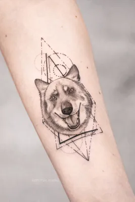 Татуировка женская реализм на лопатке собаки - мастер Александр Pusstattoo  6219 | Art of Pain