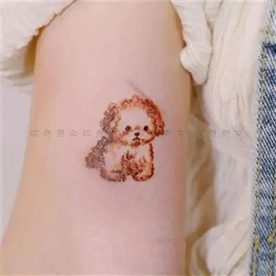 Seliunin Tattoo - Собака - лучший друг человека. Никогда не предаст, верный  и преданный друг! Так было и у моего клиента. Тату собаки как память о  лучшем друге детства 🐶 В последнее
