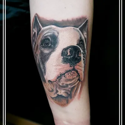 MMS tattoo Временная переводная татуировка собака