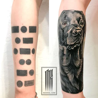Тату эскизы \"Собака\" - VeAn Tattoo