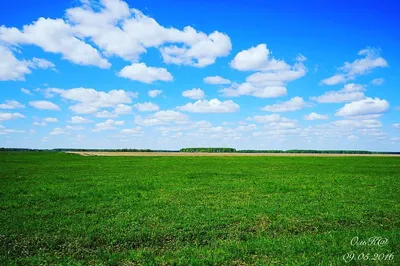 Таврическое Омская область фото фотографии