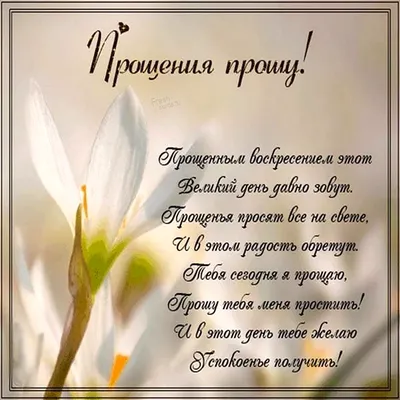 Какие вопросы можно задать парню, чтобы лучше его узнать: 65 вариантов от  психологов | РБК Life