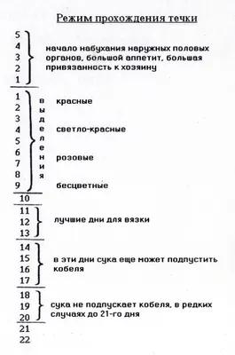 БЕРЕМЕННОСТЬ У СОБАКИ - Восточноевропейские овчарки