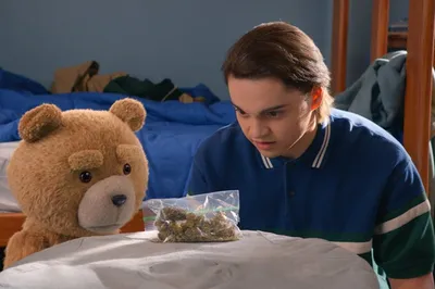 Ted' Review: Seth MacFarlane's Foul-Mouthed Bear Returns on Peacock