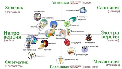 Что такое темперамент? Кто такие меланхолик, холерик, сангвиник и  флегматик? | Поговорим? | Дзен