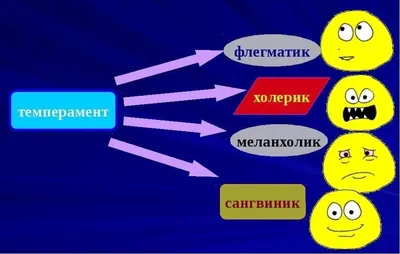 Изучайте, изучайте и проверяйте темперамент - изображаемый как  увеличительное стекло, увеличивающее темперамент слова, символизир Стоковое  Изображение - изображение насчитывающей развилки, объясните: 164570599