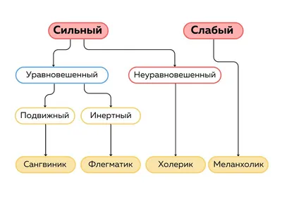 Темперамент » Школа №49 г.Алматы