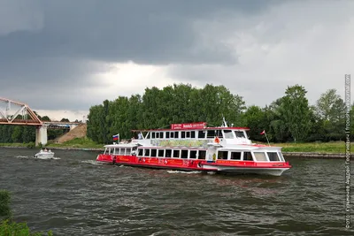 Водоходъ» прокомментировал посадку детей на теплоход под ливнем в Городце |  События | ОБЩЕСТВО | АиФ Нижний Новгород