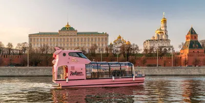 Прогулочный теплоход «Гвоздика» (Москва, флотилия «Рэдиссон Ройал»):  описание судна, фото, история, маршруты, место посадки, расписание