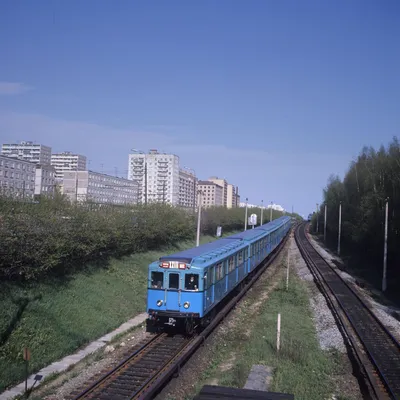 Теракт в метро москва фото фотографии