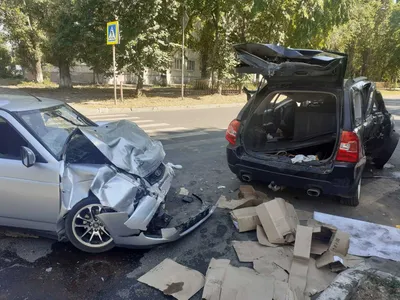 Ещё одно ЧП с упавшим деревом произошло в Тольятти