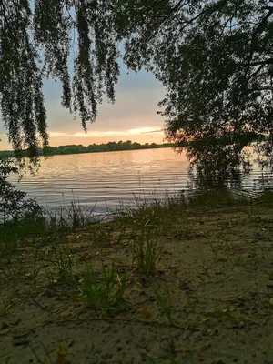 Село Тербуны стало населенным пунктом воинской доблести — LipetskMedia