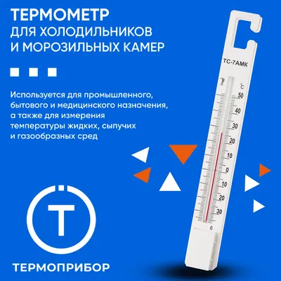 Цифровой медицинский термометр Beurer FT 09/1 (синий) купить в Минске