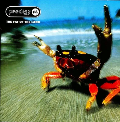 The Prodigy - Regular | Gary Pullin