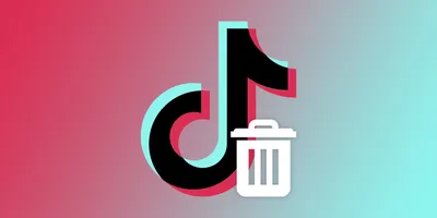 TikTok confirms small test of an ad-free subscription tier outside the US |  TechCrunch